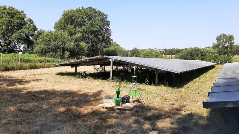 Een van de onderzoekslocaties, een zonnepark bij Apeldoorn