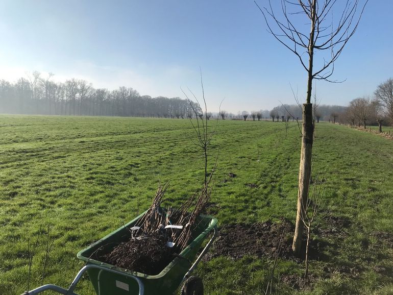 Aanplanten van een voedselbos