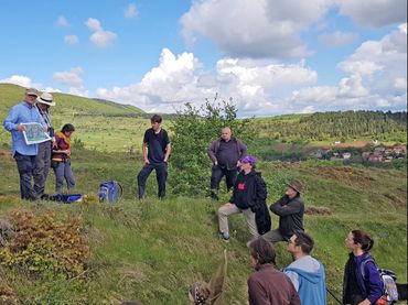 Working together for Danube clouded yellow