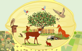 Wageningen Environmental Research Voedselbos illustratie
