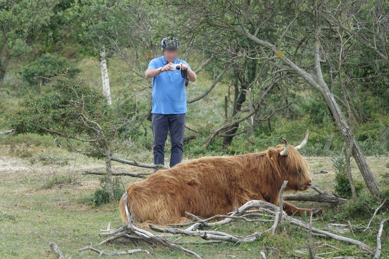 Grazers hebben ruimte, rust en privacy nodig