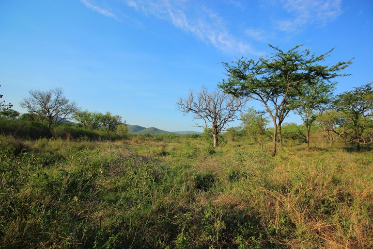 Mbuluzi game reserve in Swaziland