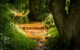 provincie Noord-Brabant wijst, beek, ijzerhoudend water - eenmalig gebruik