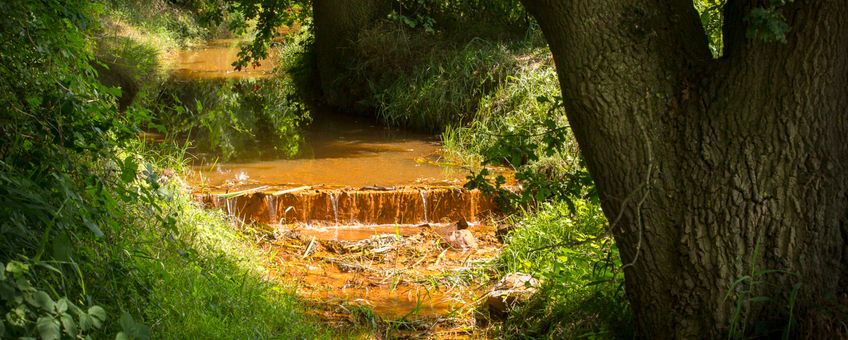 wijst, beek, ijzerhoudend water - eenmalig gebruik