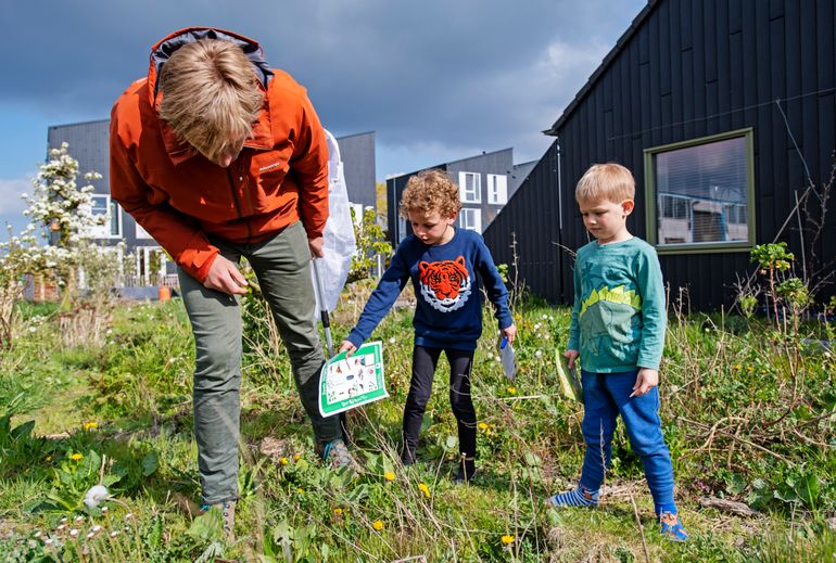 Tijdens de Nationale Bijentelling van 2019 waren er flink wat wolken, maar werden nog steeds duizenden bijen geteld