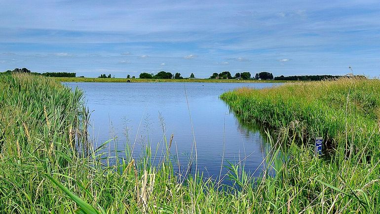 Een blik op een stukje van 't Roegwold
