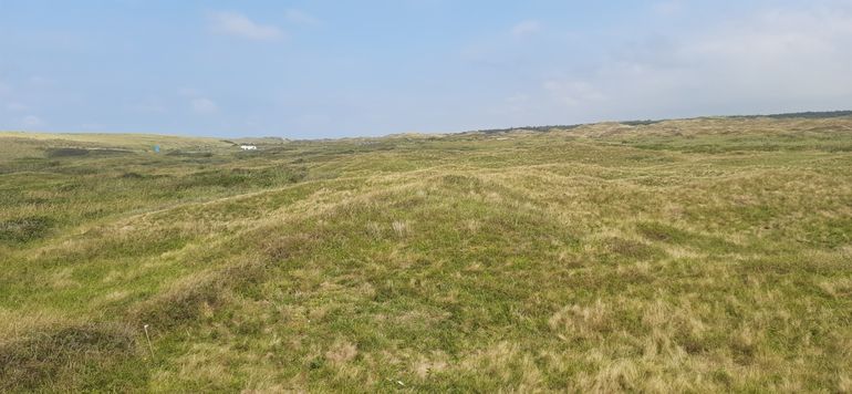 Onderzoeksgebied A, de Geul, waar een tweejaarlijkse wisselbegrazing wordt toegepast