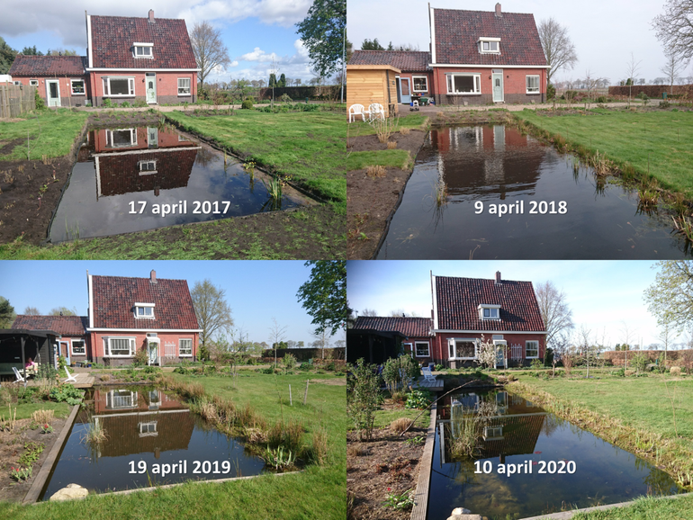 Achtertuin in Bronsveen rond begin/half april 2017, 2018, 2019 en 2020