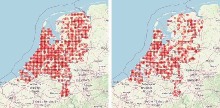 Een overzicht van de waarnemingen ingevoerd op Waarneming.nl tijdens de Mollentellingen van 2023 (links) en 2024 (rechts).
