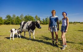 Boerderij Ruimzicht Gerjo en Jara bij kalf en koe (NIET VOOR ALGEMEEN GEBRUIK)