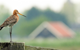 Provincie Utrecht EENMALIG GEBRUIK