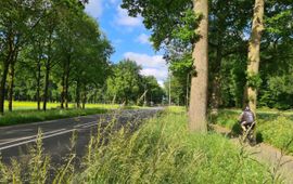 Joke Pingen Gelderse wegberm