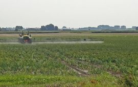 Kars Veling Spuiten - primair