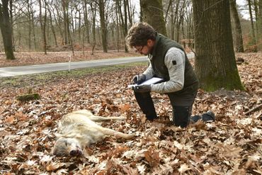 Alle gegevens van de gevonden kenmerken worden vastgelegd