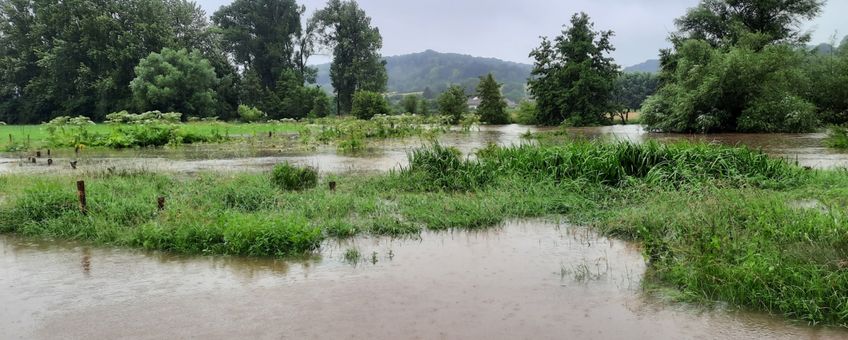 Zomerhoogwater Zuid-Limburg, juli 2021