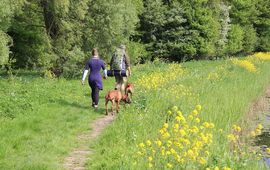 Peter van der Sluijs, CC BY-SA 3.0-licentie Backpackers met honden in Mallebos