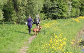 Backpackers met honden in Mallebos