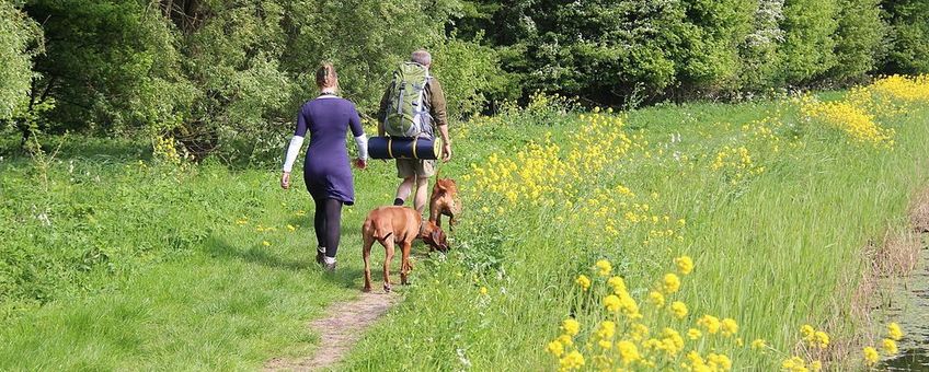 Backpackers met honden in Mallebos