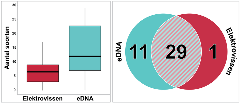 Links verschillen in aantal soorten per locatie tussen elektrovissen en eDNA Rechts overlap en unieke soorten voor elektrovissen en eDNA voor alle locaties samen