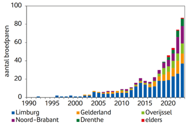 Populatieontwikkeling (aantal broedparen/territoria) van de oehoe vanaf 1990 tot en met 2023. De categorie ‘elders’ betreft territoria in Groningen (2020), Noord-Holland (2020 en 2021), Zeeland (2021), Friesland (2022) en (Utrecht 2023)