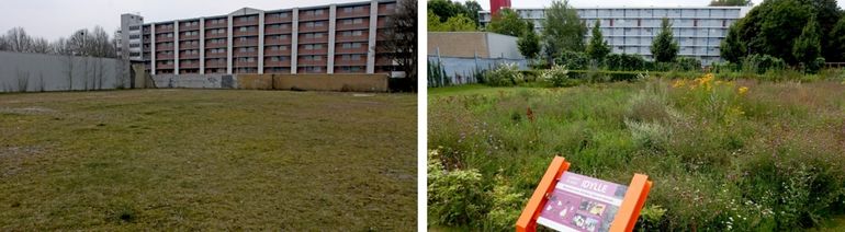 De idylle in Tilburg voor (2013) en na (2017)