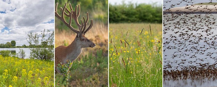 De vele ecosystemen samen zorgen voor de biodiversiteit die we ook als mens heel hard nodig hebben.