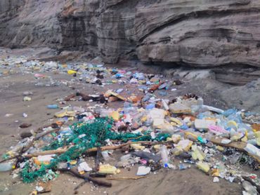 Trash at Zeelandia Beach