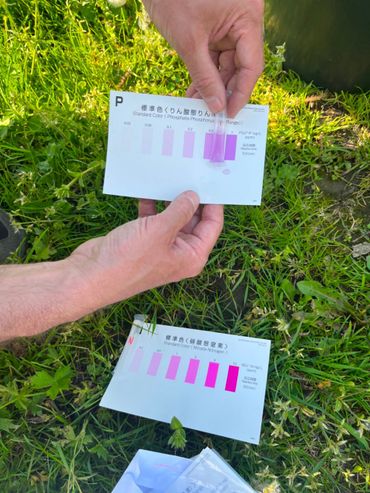 Via testkits meten de deelnemers de nutriënten en de concentraties nitraat en fosfaat in het water