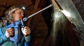 Marta sampled hout voor referentiekalender