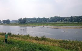 FREE Nature
