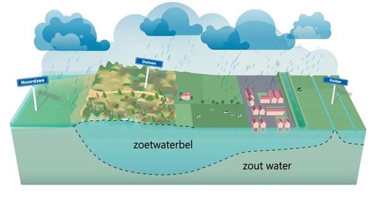 Ligging van de zoetwaterbel op het zoute grondwater en onder de duinen