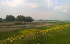 provincie Utrecht natuurgebied Lunenburgerwaard