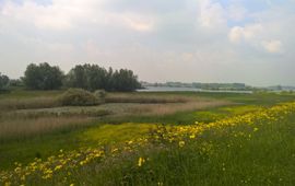 natuurgebied Lunenburgerwaard