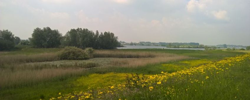 natuurgebied Lunenburgerwaard