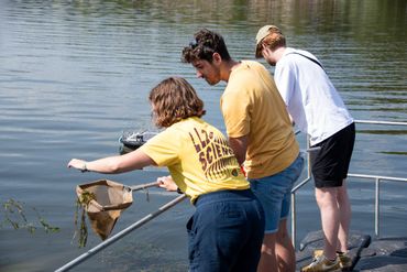 Lowlandsbezoekers onderzoeken welke waterdiertjes er in Lake Lowlands leven