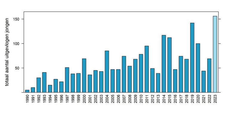 Aantal uitgevlogen jongen van grauwe kiekendief in Nederland in 1990-2023 (2023 voorlopig aantal)