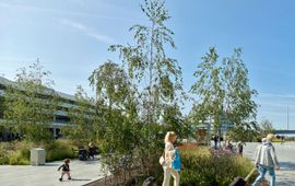 Foto: Joep Jacobs Ontwerp van MTD landschapsarchitecten - eenmalig gebruik