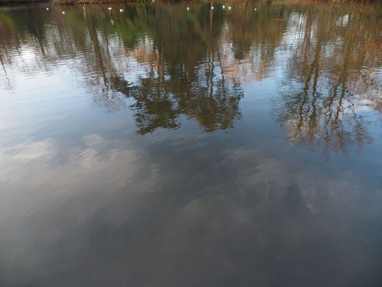 In stilstaand water zie je rustgevende, symmetrische weerspiegelingen van de omgeving. Word jij ook altijd rustiger als je naar water kijkt?