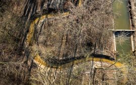 Beekherstel - primair