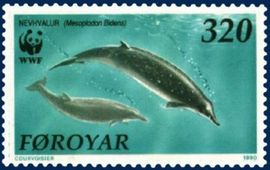 Bárður Jákupsson Spitssnuitdolfijn postzegel This image is in the public domain because it was released by the copyright holder Postverk Føroya - Philatelic Office. More information here