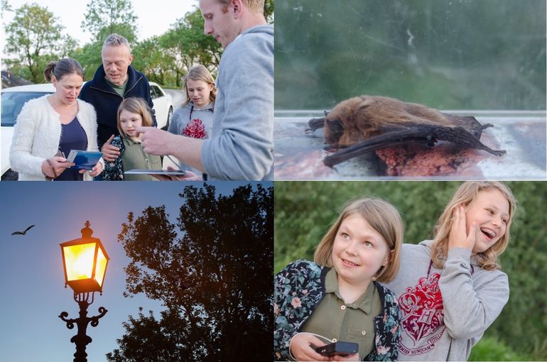 Impressie van de avond