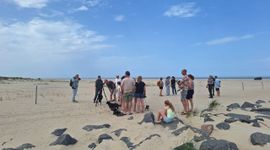 Handhavingsdagen op Texel