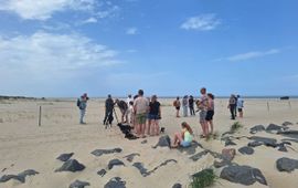 Handhavingsdagen op Texel