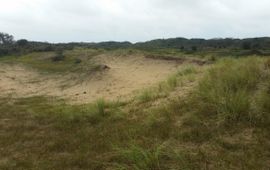 Dick Groenendijk Duingebied in Kennemerland-Zuid