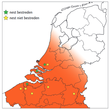 Risicogebied Aziatische hoornaar