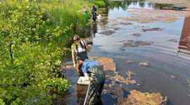 Studenten helpen bij het testen beeldherkenning in platform Waterdiertjes.nl