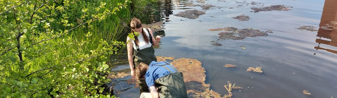Studenten helpen bij het testen beeldherkenning in platform Waterdiertjes.nl