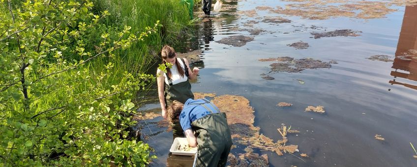 Studenten helpen bij het testen beeldherkenning in platform Waterdiertjes.nl