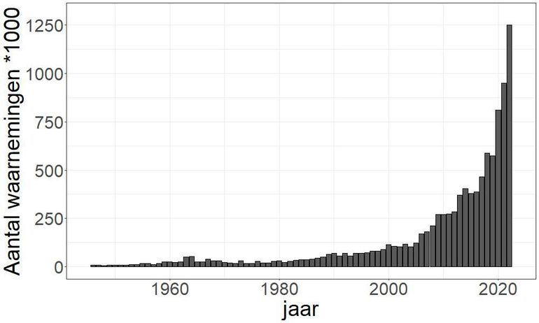 Aantal waarnemingen van nachtvlinders vanaf 1950