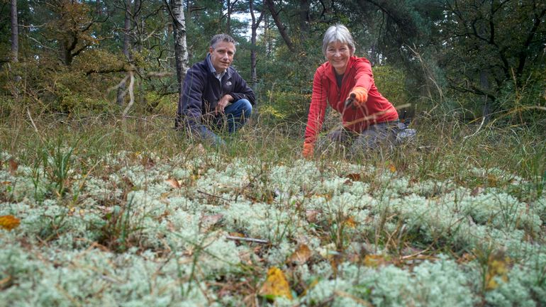 Projectleider en vrijwilliger in natuurgebied De Zoom Soest